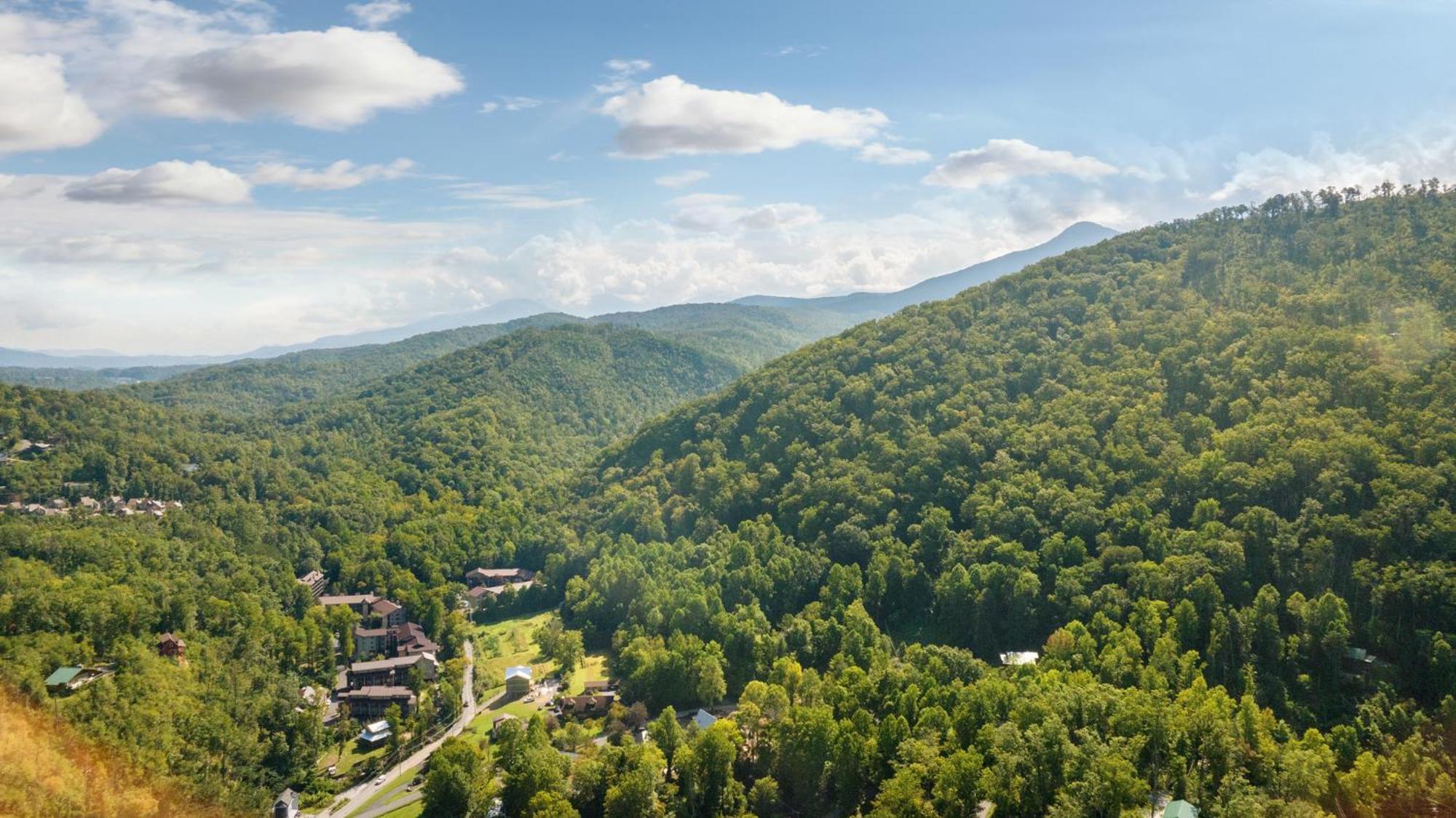 Baloo'S Bungalow Gatlinburg Eksteriør bilde
